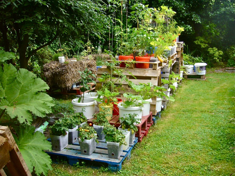 Дача сад огород