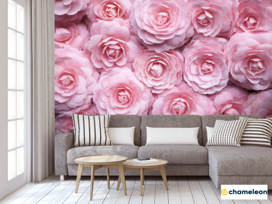 Роза Фриско