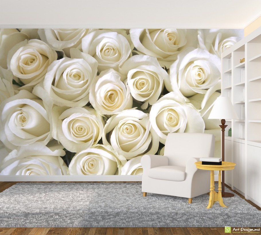Фотообои на стену розы