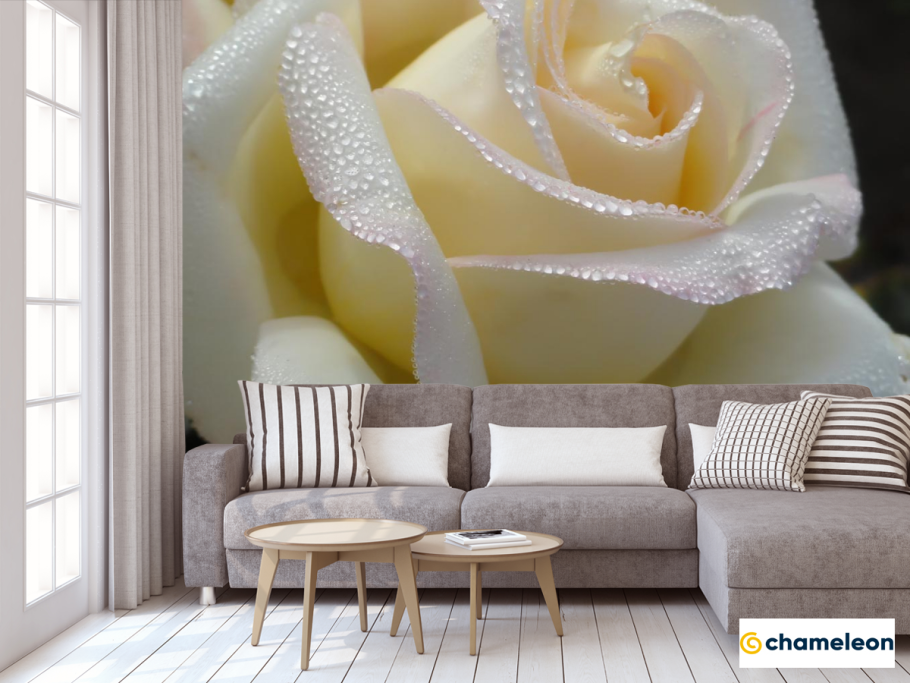 Фотообои белые розы в интерьере