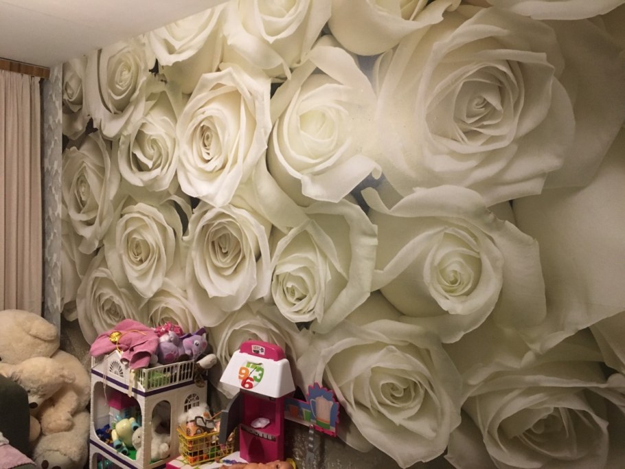 Фотообои Komar белые розы 3.68 х 2.54 м