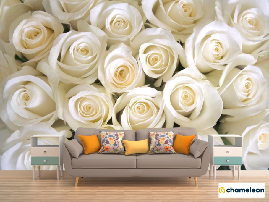 Фотообои белые розы