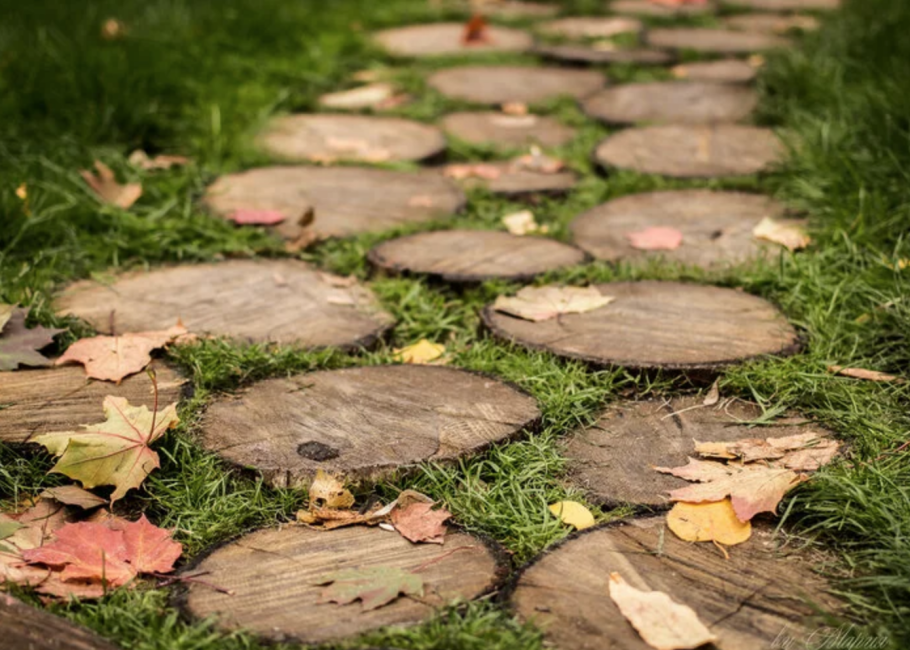 Дорожка из досок на даче