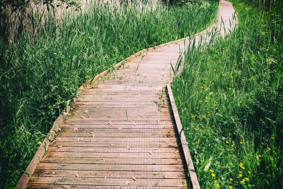 Дорожки на болотистом участке