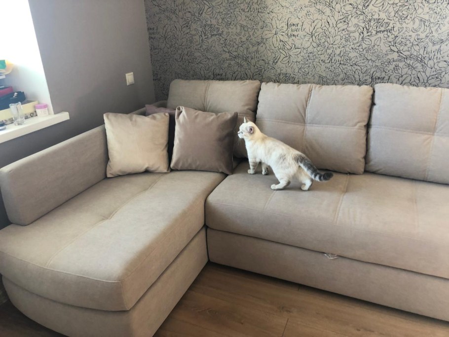 Угловой диван шириной 220 см