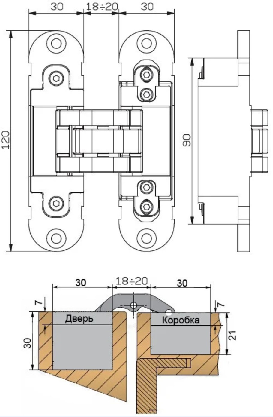 Петля скрытой установки Отlav 30 х 120 INVISACTA
