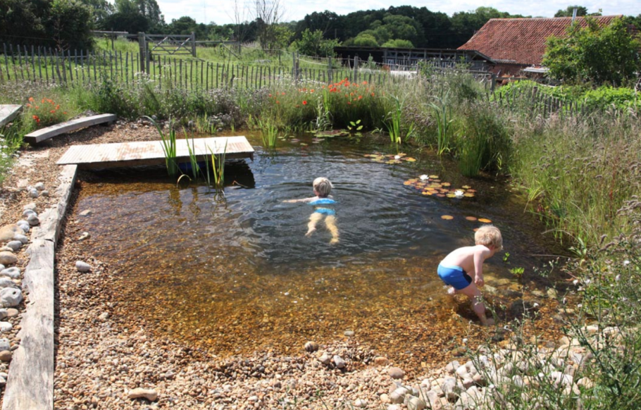 Пруд для купания на участке