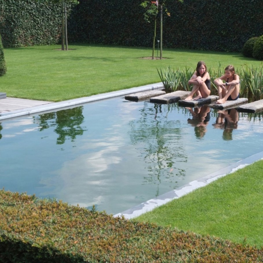 Пруд для купания на участке