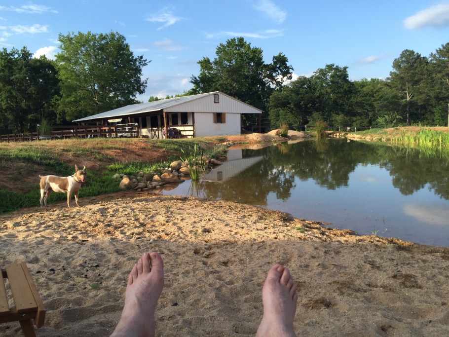 Пруд с пляжем на участке