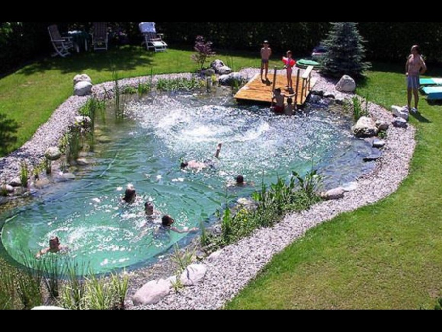 Пруд для купания на участке