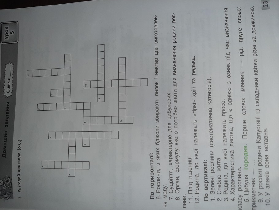 Сканворды серые клеточки