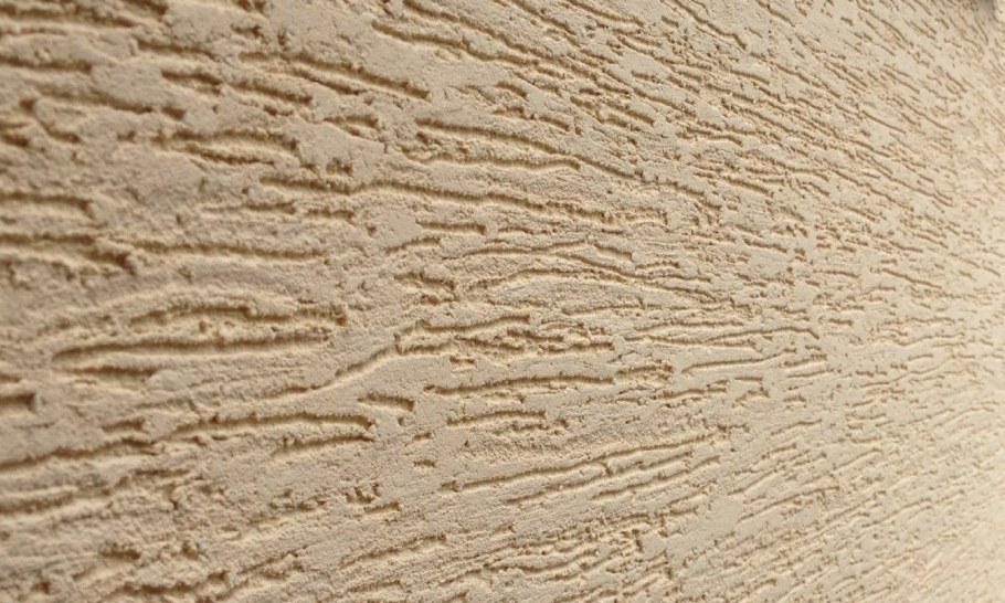 Тим 28 короед