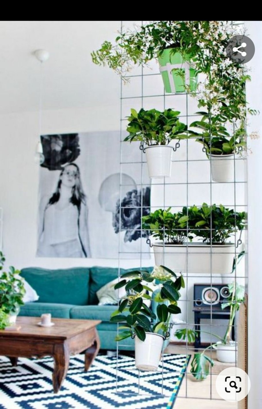 Озеленение гостиной комнаты