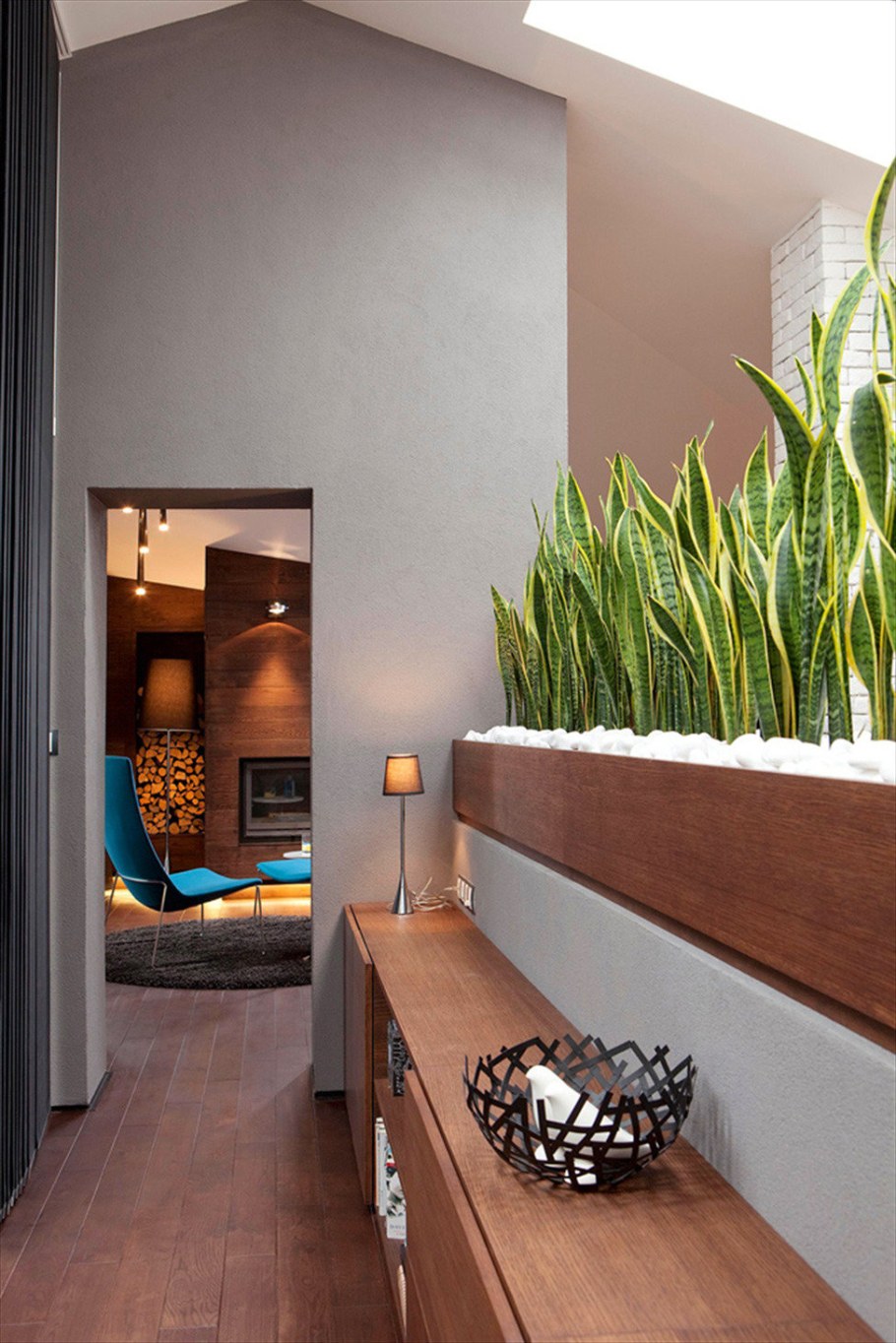 Стеллажи с растениями зонирование