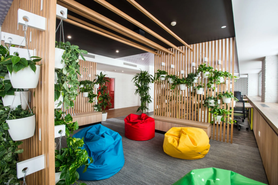 Фитостена плющ