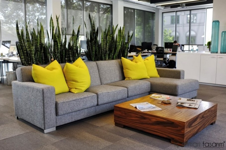 Зонирование в опен Спейс