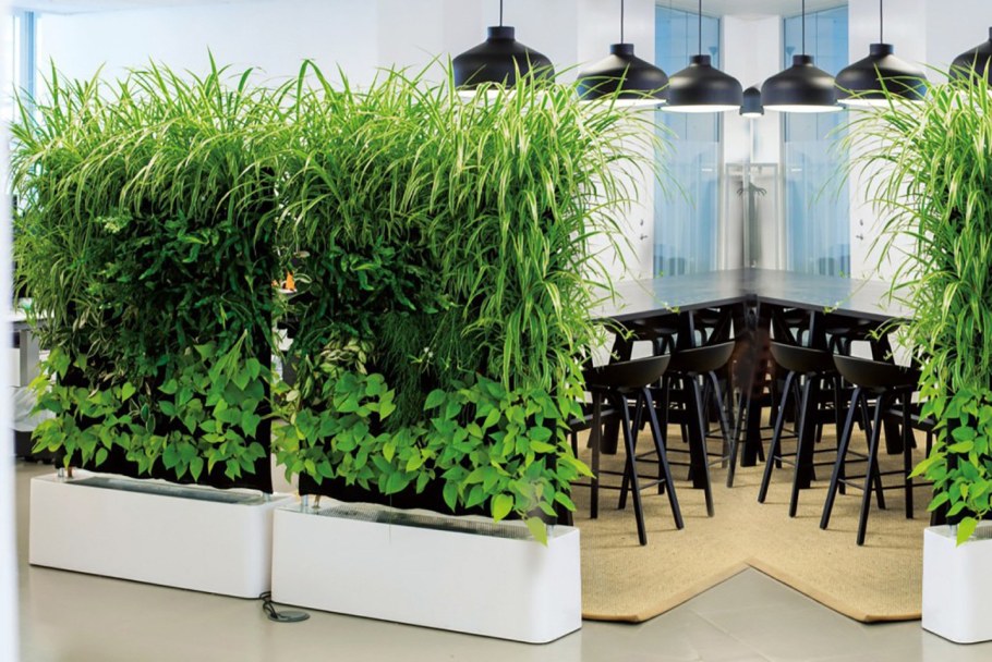 Интерьер кафе с озеленением