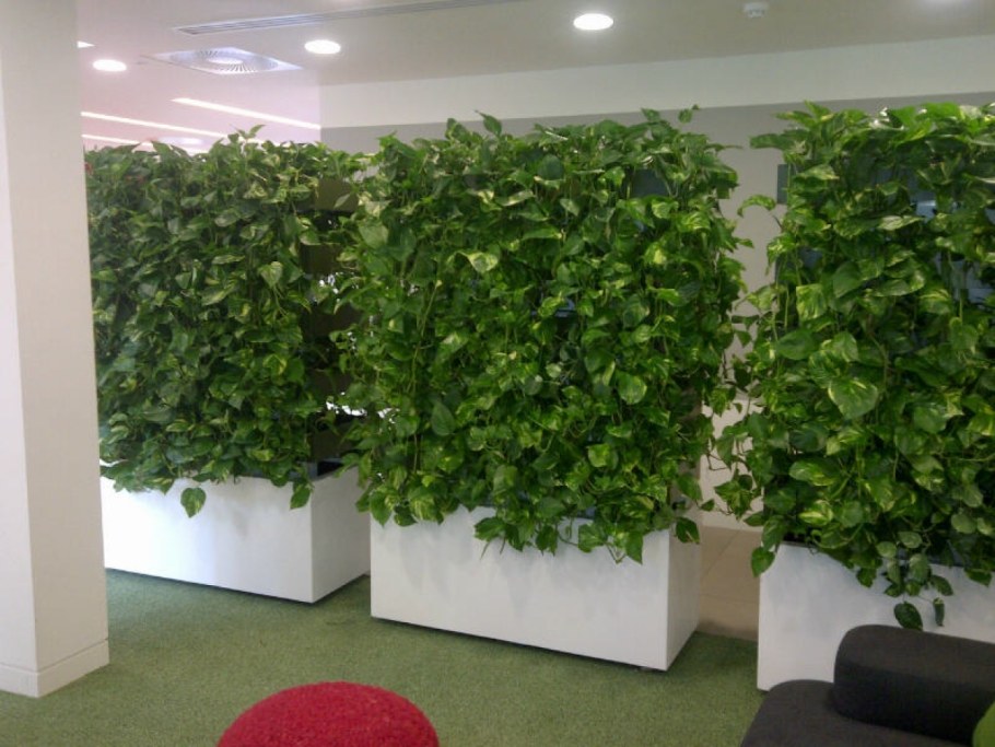 Перегородка для зонирования с растениями