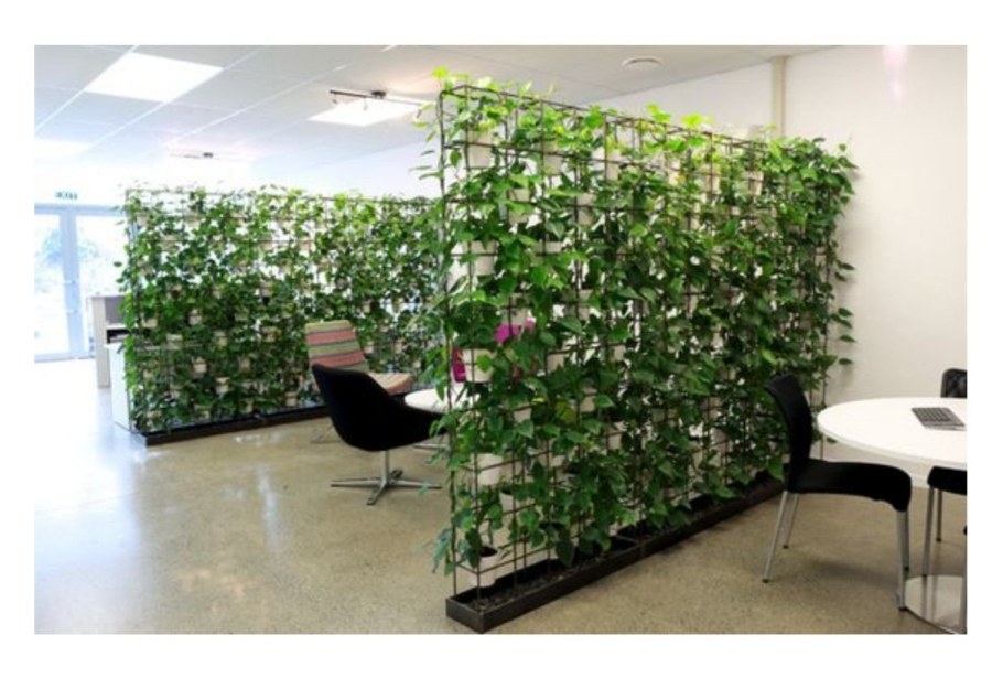 Перегородка с растениями