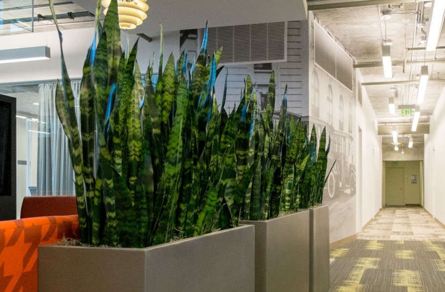 Коворкинг коворкинг в эко стиле