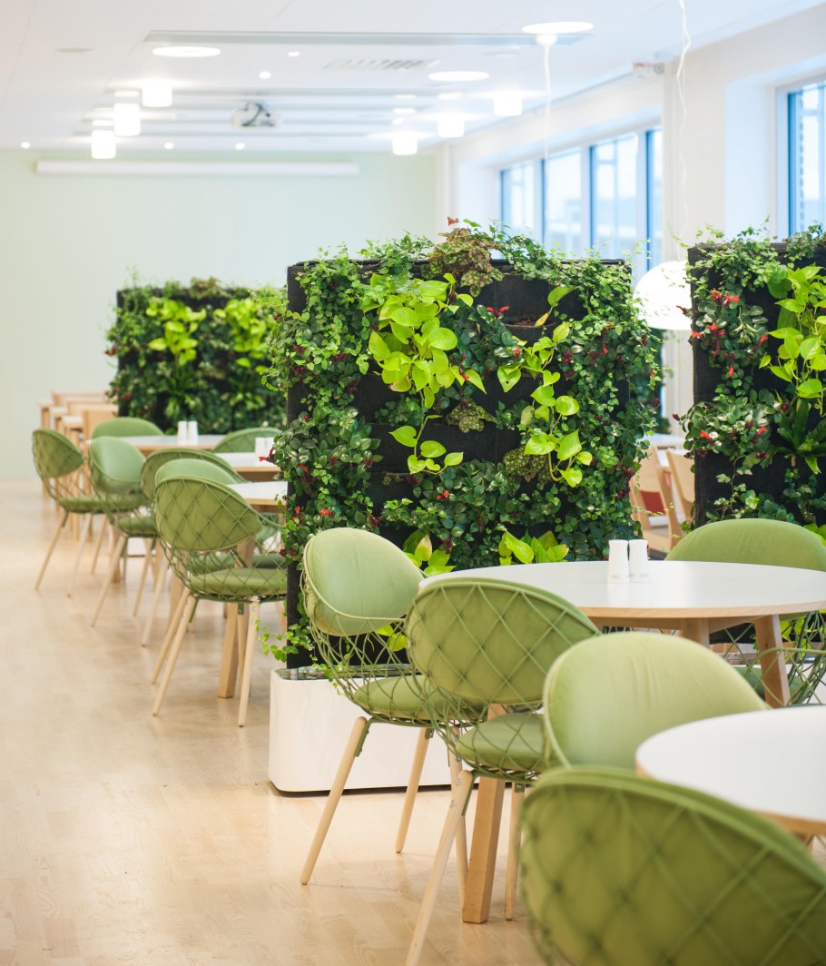 Экостиль в интерьере