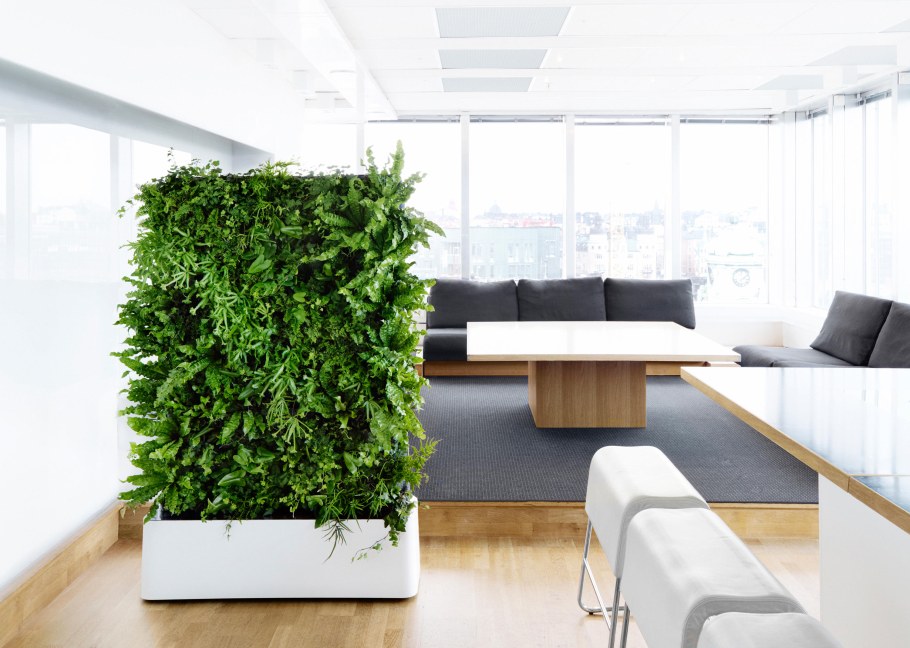 Перегородка с растениями