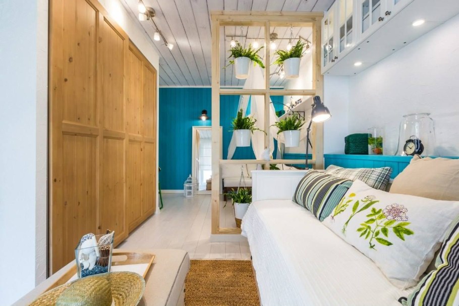 Хлорофитум фитостена