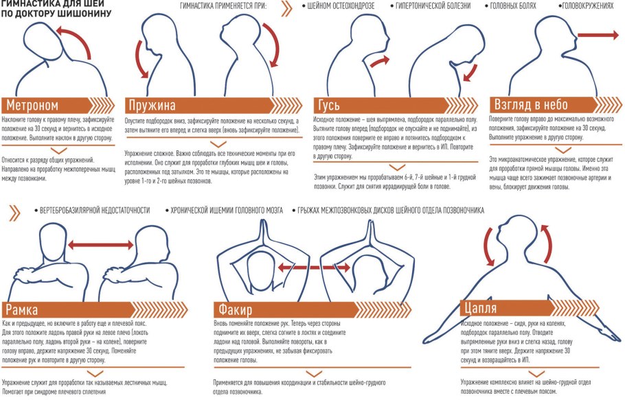 Доктор Шишонин гимнастика для шеи