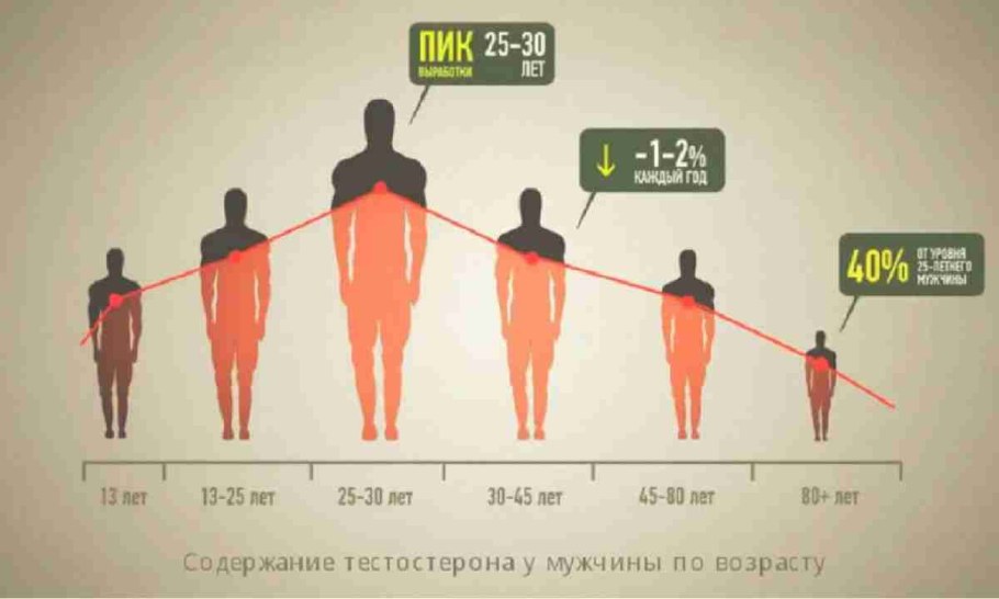 Чертёж одежды в РОБЛОКС