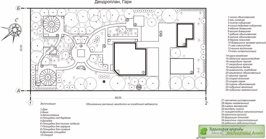 Генплан дендроплан посадочный чертеж разбивочный чертеж