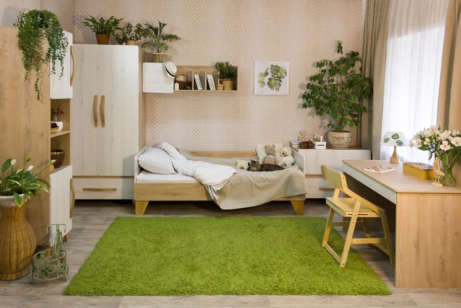 38 Попугаев детская Риган