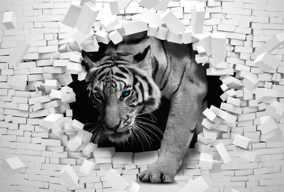 Дэвид Болл коллаж