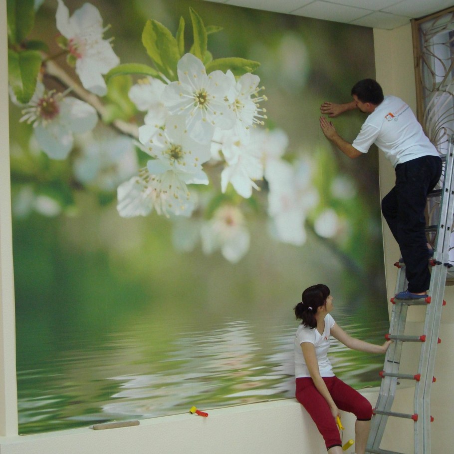 Встроенный шкаф купе с фотопечатью