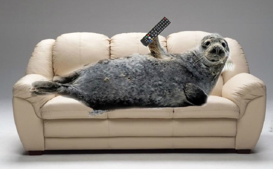 Диван Верона книжка Rivalli