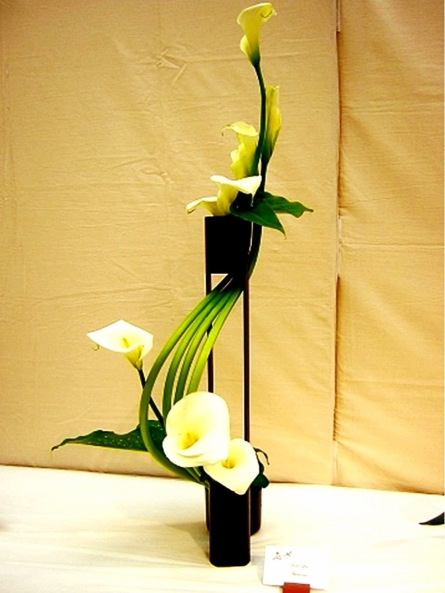 Флористические композиции