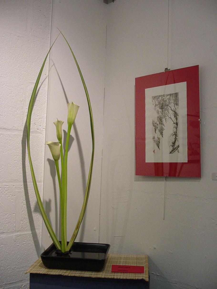 Дерево бонсай в интерьере