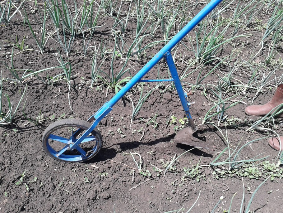 Самодельный окучиватель картофеля ручной