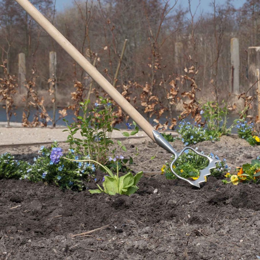 Королевская мотыга Sneeboer