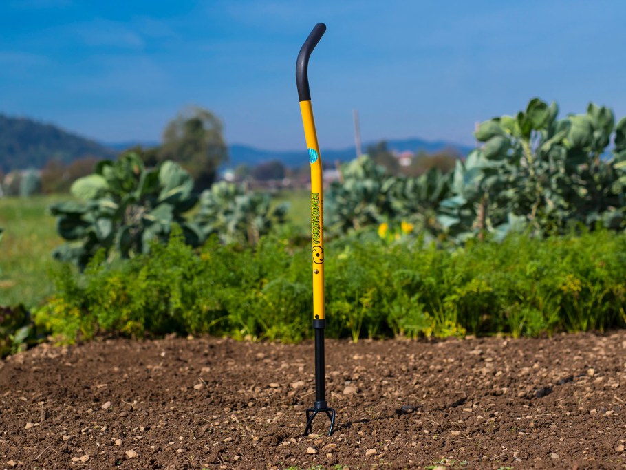 Тяпка плоскорез кольцевидная