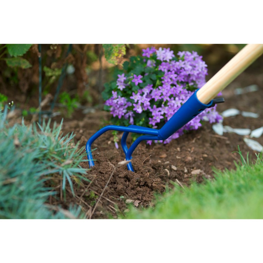 Плоскорез турчанка