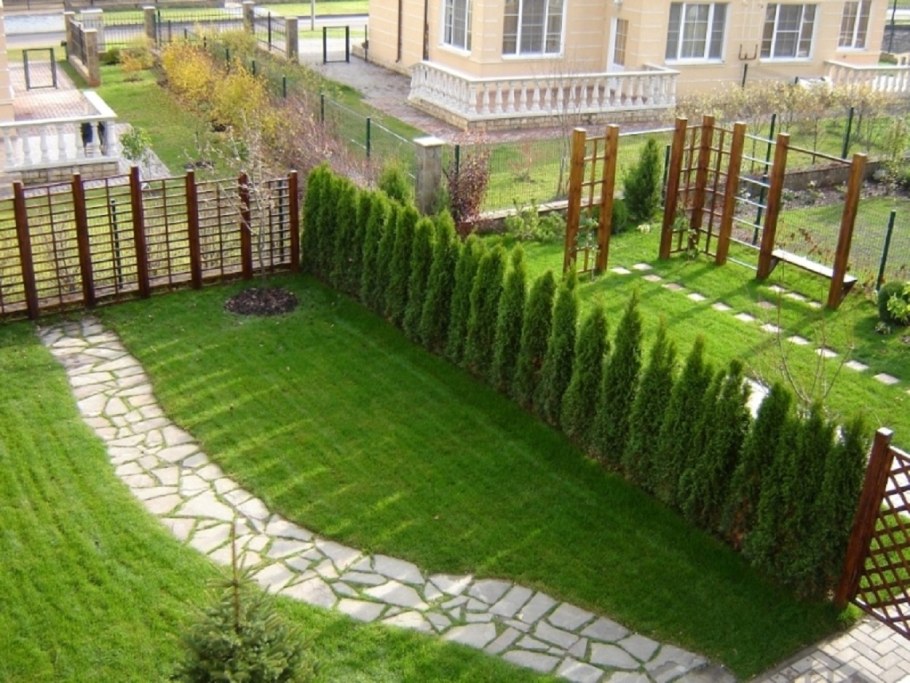 Живая изгородь на дачном участке