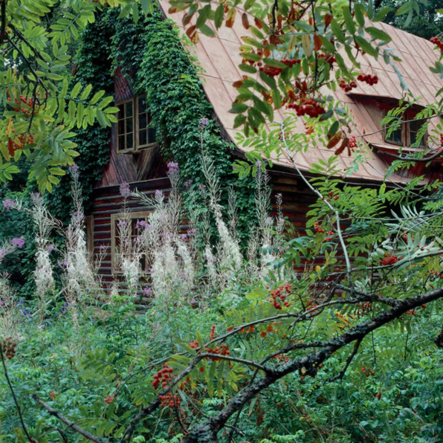 Поселок Нил Истринский район дача Ширвиндта