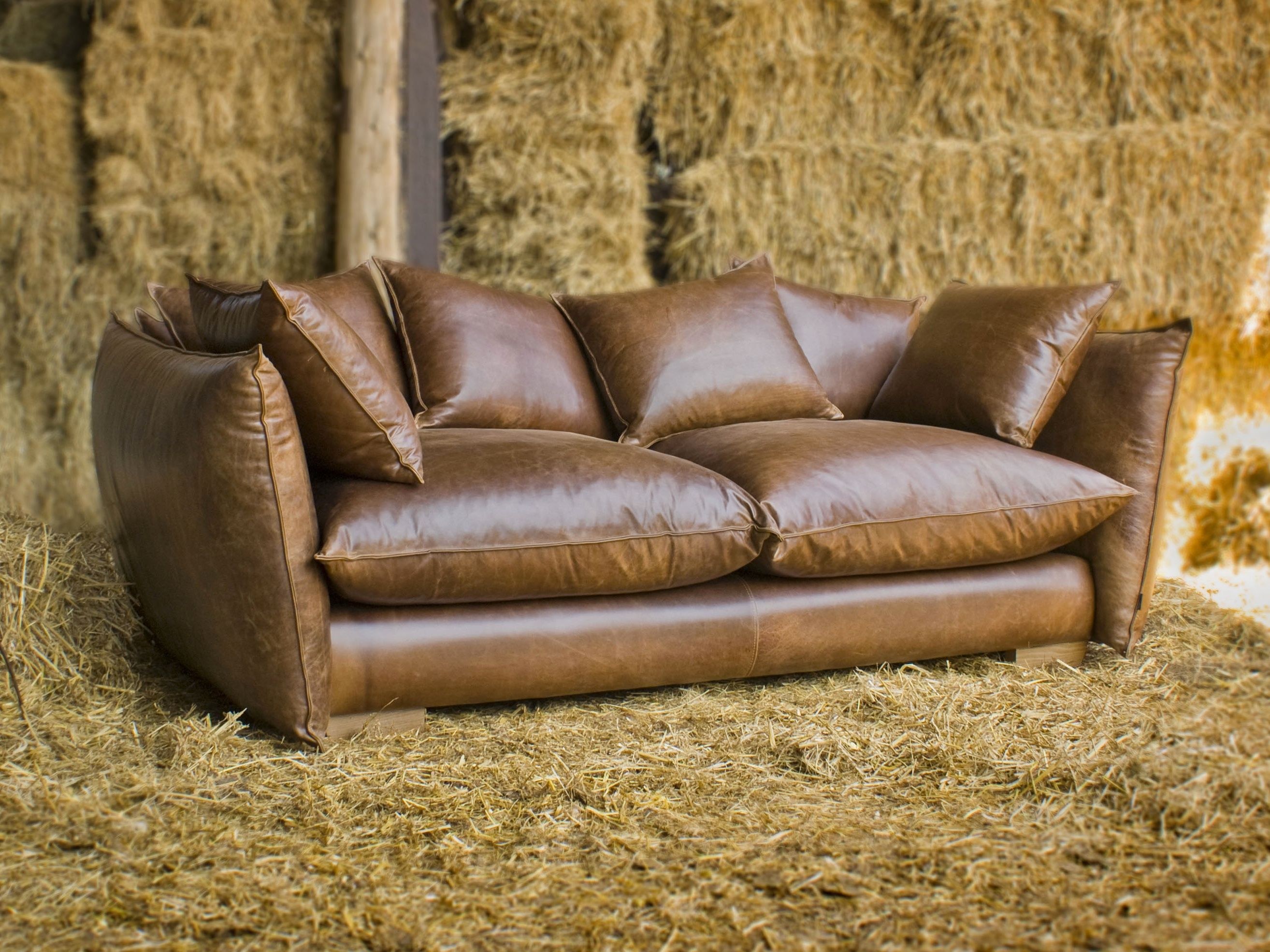 Покажи диваны картинки. Кожаный диван. Стильный кожаный диван. Диван из натуральной кожи. Диваны кожаные современные.