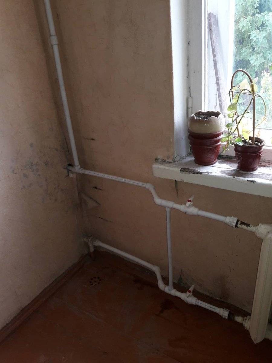 Грибок на стенах