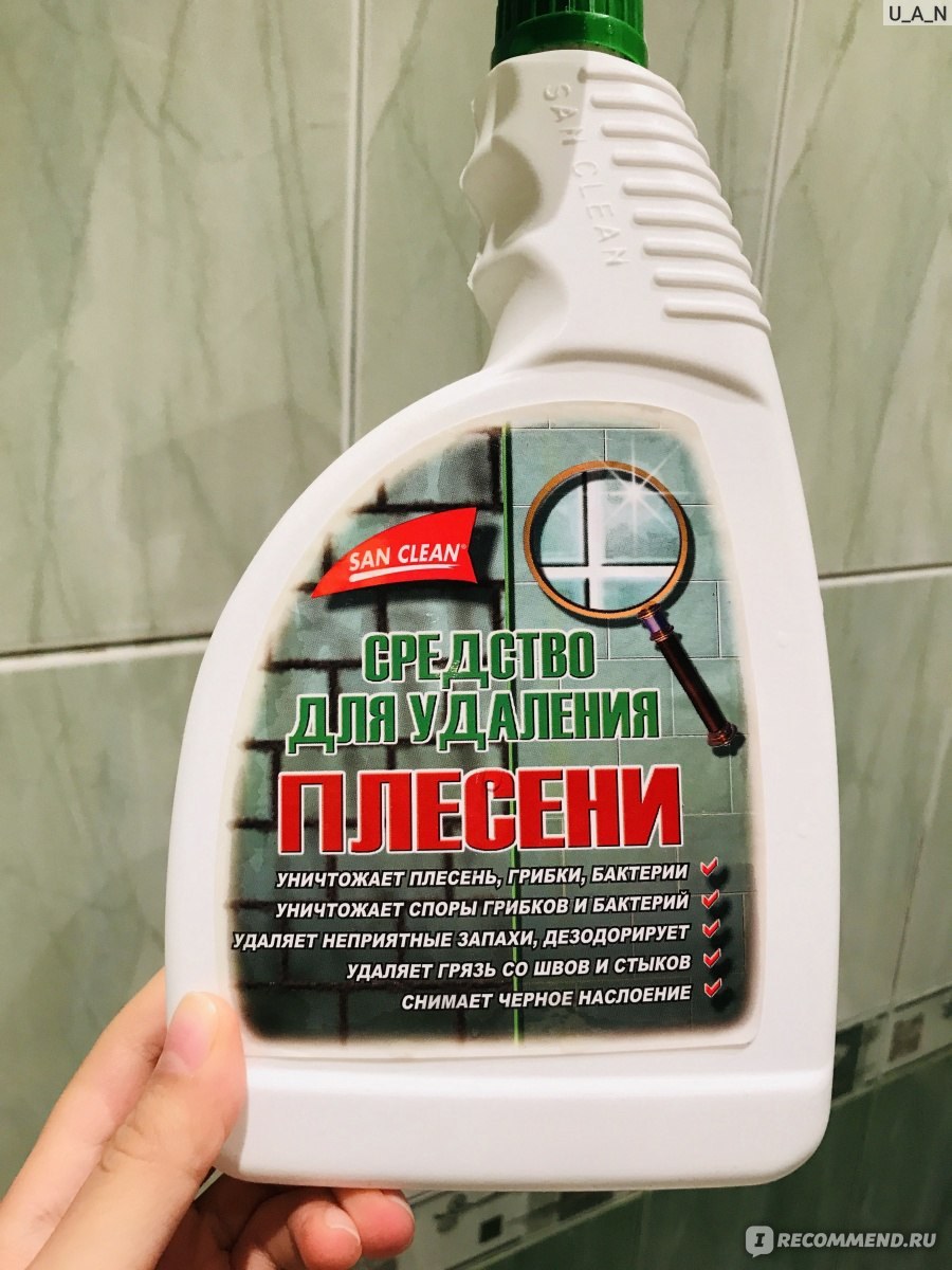 Плесень от влажности