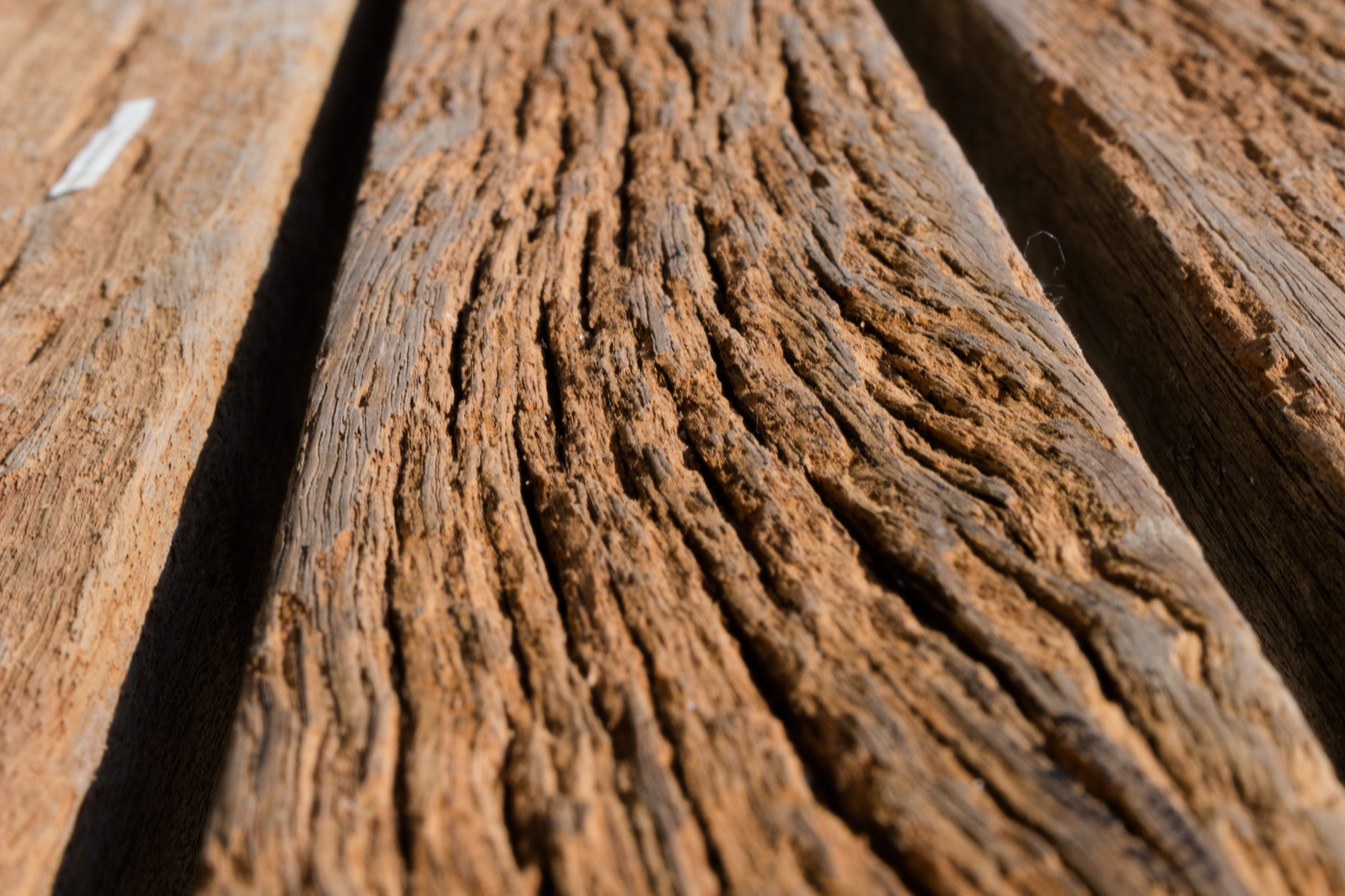 Виды деревообработки. Древесина. Древесина материал. Текстура пород дерева. Дерево и древесина породы.
