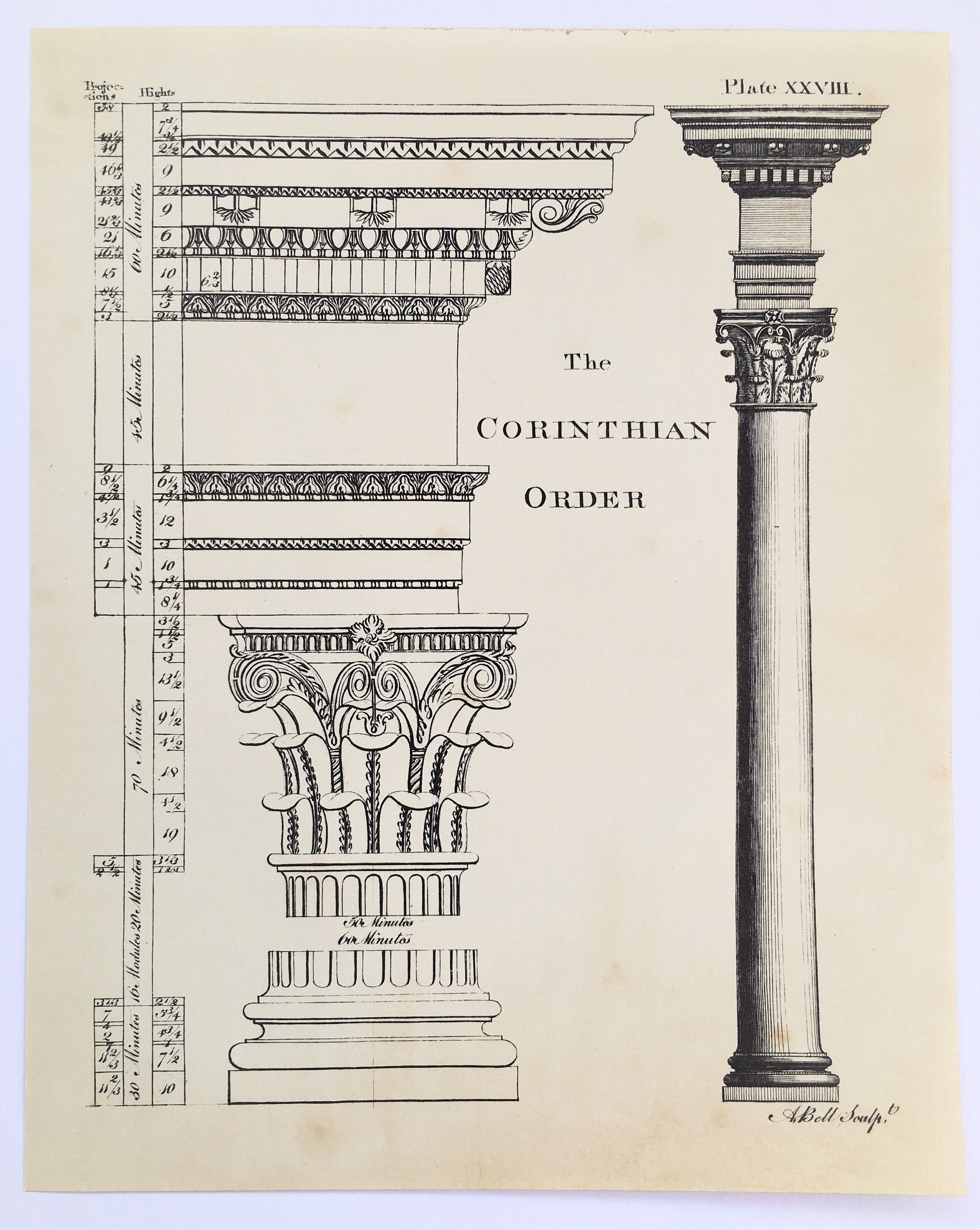 Карниз колонны Коринфского ордера