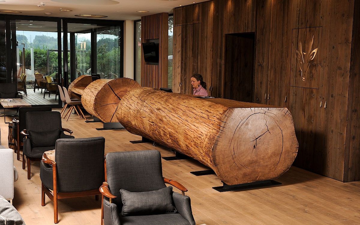 Мебель из стволов деревьев