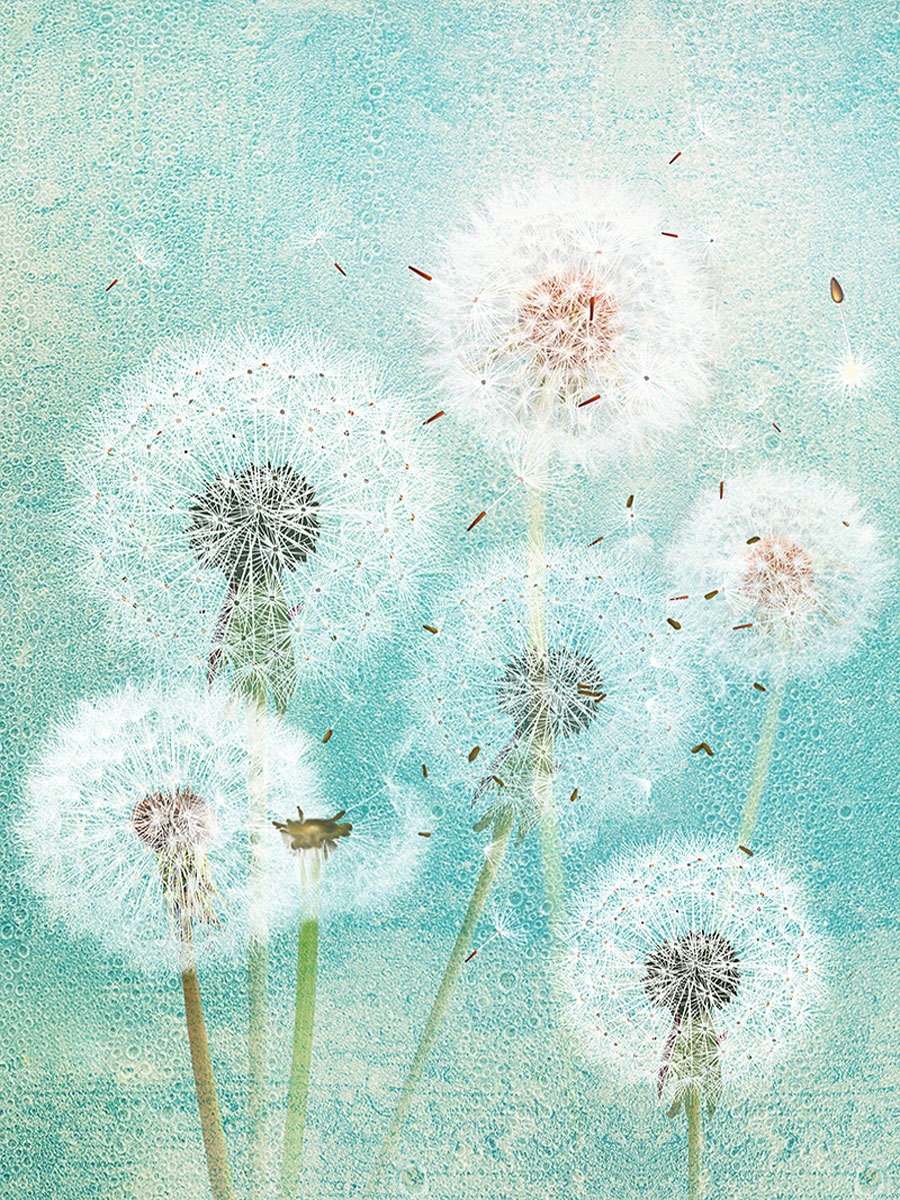 Фотообои с одуванчиками в интерьере