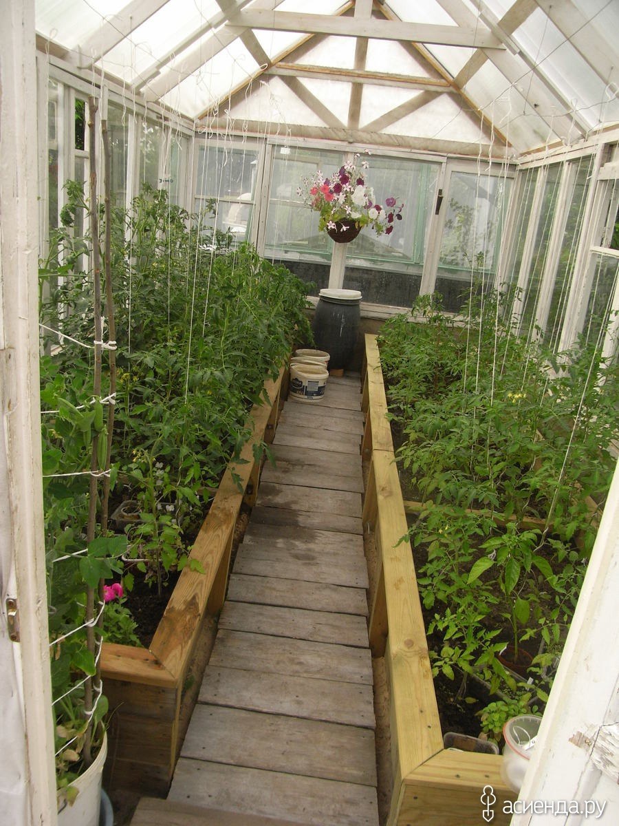 2 Яруса в теплице